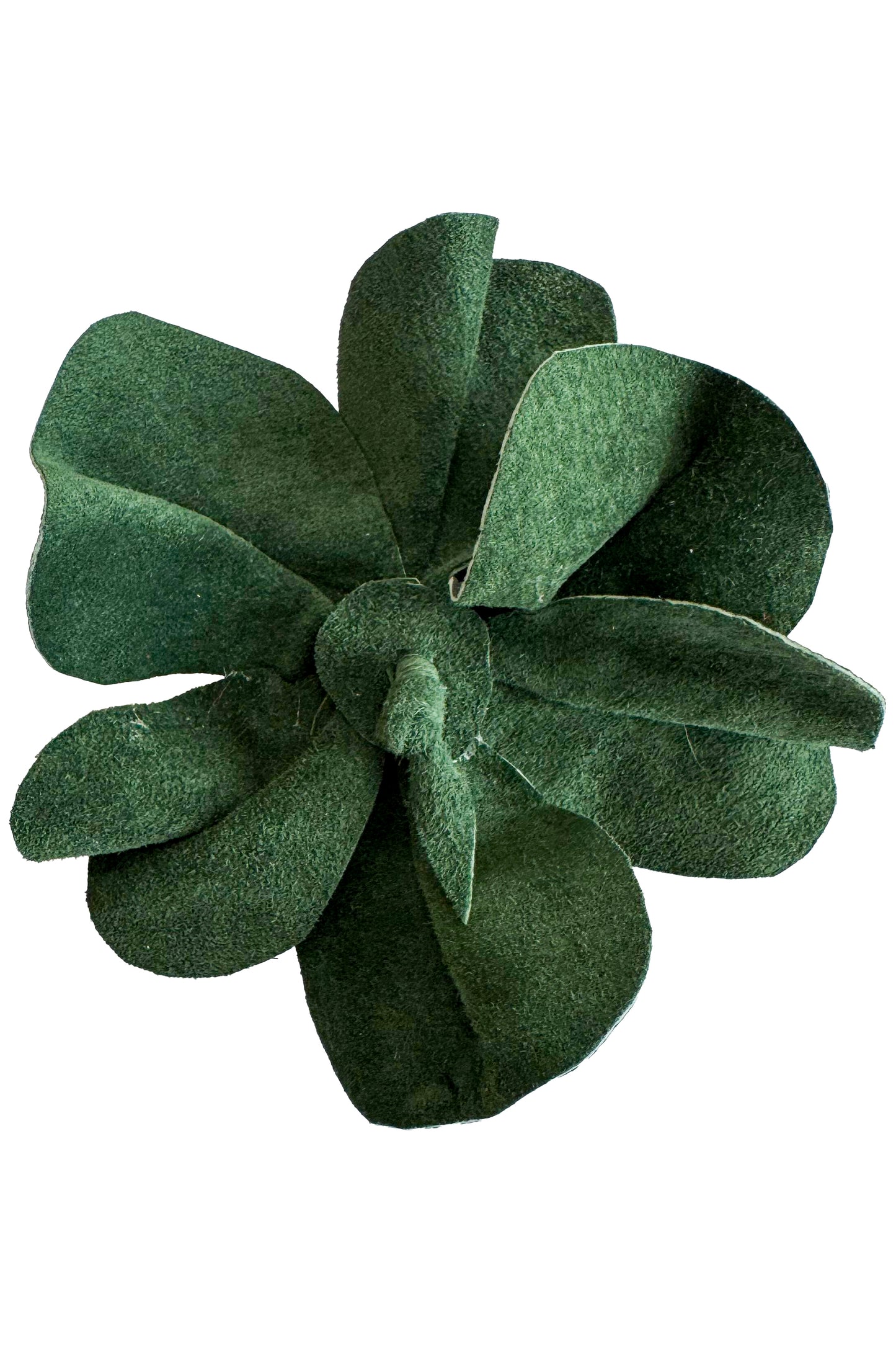 Magnetic Floral Brooch | Camellia | Leather | Green